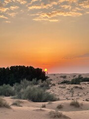 Landscape of desert at sunset.