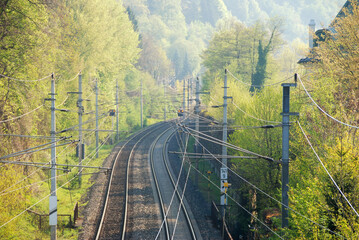 Railway tracks between green trees leading around a corner