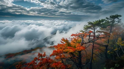 Deurstickers Wind Swept Coastal Forest with Cascading Autumn Foliage Overlooking a Misty Clouded Valley Below © doraclub