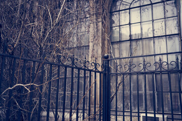 Halloween concept. Background on a window with dry branches, an ominous night window with a shadow from the house and a metal fence with space to copy. High quality photo