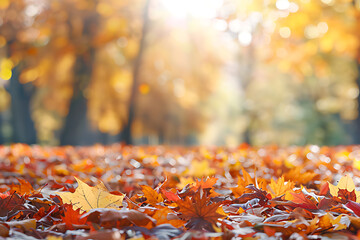 Defocused colorful bright autumn ultra wide panoramic background with blurry red yellow and orange autumn leaves in the park