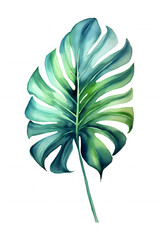 Watercolor Monstera Leaf Illustration.
An elegant watercolor illustration of a monstera leaf, with vibrant green hues, isolated on white, perfect for botanical art and tropical decor themes.