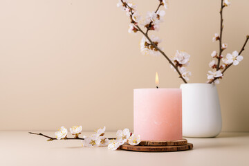 Burning candle and cherry blossom twig, spa still life