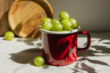 Gooseberry in a red enamel mug in sunlight