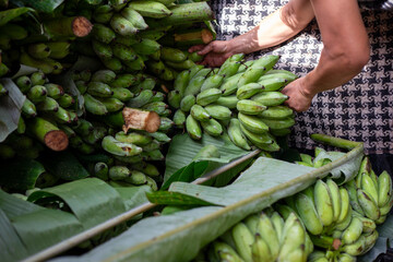 Selective focus green bananas are being loaded onto trucks by merchants buying bananas from banana...