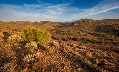 Karoo semi desert arid landscape with sky and clouds in South Africa