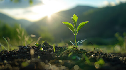 A young plant sprouting from the ground, symbolizing new life and growth in nature. Generative Ai...