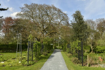 Le jardin botanique aux plantes médicinales au printemps au Vrijbroekpark à Malines 