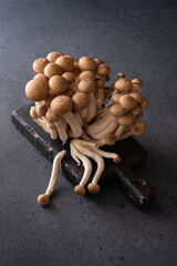 Fresh brown shimeji mushrooms on dark background