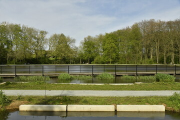 Fototapeta premium Passerelle au raz de l'eau séparant l'étang principal et la partie biologique au Vrijbroekpark à Malines 