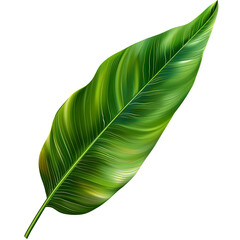 A large, vibrant green leaf on a white background vector illustration PNG without a cutout