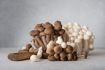 Fresh brown and white shimeji mushrooms on gray background