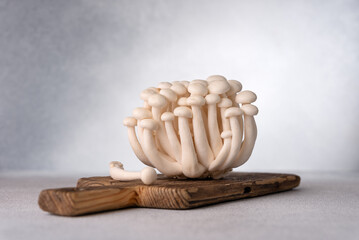 Fresh white shimeji mushrooms on gray background