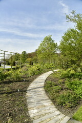 Petit chemin courbé traversant une nature bucolique au printemps, au Vrijbroekpark à Malines 