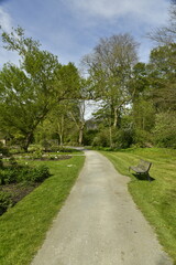 Petit chemin courbé traversant une nature bucolique au printemps, au Vrijbroekpark à Malines 