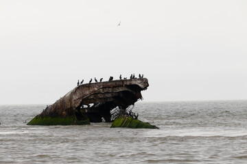 This is the stone ship or concrete ship of Cape May New Jersey. The piece of ship protruding from...