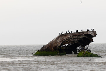 This is the stone ship or concrete ship of Cape May New Jersey. The piece of ship protruding from...