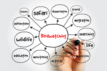 Birdwatching mind map, concept for presentations and reports