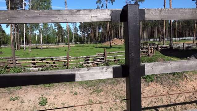 Fence and stockade of logs in a city zoo.