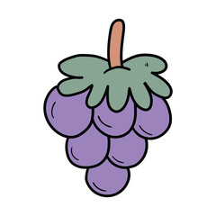 Hand drawn doodle bunch of purple grapes on white background.
