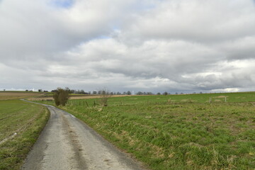Petite route de campagne étroite entre les champs sous un ciel gris à Ghislenghien (Ath)