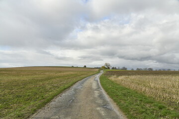 Petite route de campagne étroite entre les champs sous un ciel gris à Ghislenghien (Ath)