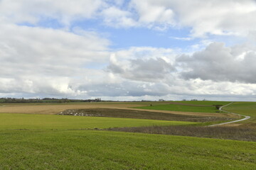 Obraz premium Éclaircies se dessinant dans un ciel chargé au dessus des prairies aux environs de Ghislenghien (Ath)