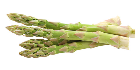 Four Elegant Asparagus Spears with Pointed Ends