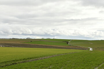 Petite route de campagne étroite entre les champs sous un ciel gris à Ghislenghien (Ath)