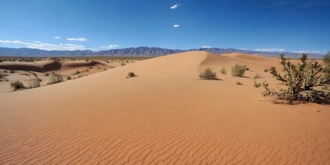 Fototapeta na wymiar Photo Of a Hot Arabic Desert