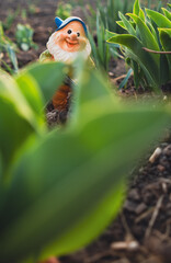 A gnome figurine stands in the center of a blossoming garden, surrounded by colorful flowers and lush greenery, under the bright sunlight.