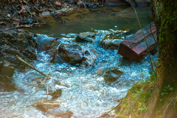 Serene Waters: A Beautiful Stream in the Forest