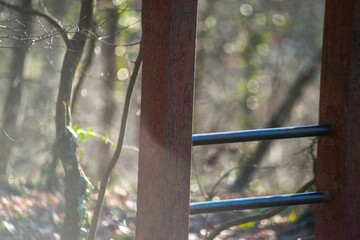 Forest Fitness Haven: Exercise Area Amidst Nature's Beauty