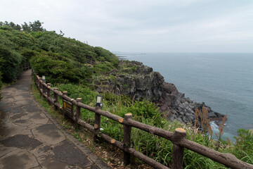 View of the footpath on the cliff at the seaside