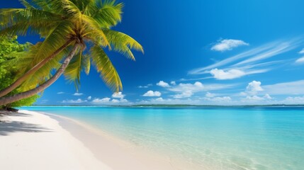 A tropical beach with palm trees and crystal clear waters