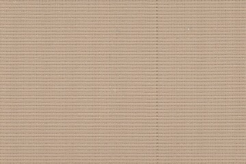 Tan fabric pattern texture vector textile background for your design blank empty with copy space for product design or text copyspace mock-up template 