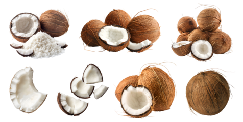 Coconut coconut fruit, many angles and view side top front group sliced halved cut isolated on transparent background cutout, PNG file. Mockup template for artwork graphic design