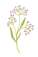 Wild purple flowers collection. Abstract flowering plants, blooming flowers, subshrubs isolated on white background. Hand drawn detailed botanical digital illustration by watercolor brushes.