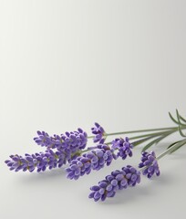a small bouquet of dried lavender. a place to advertise