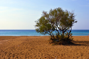 Marina Di Salve Beach (pescoluse) Puglia Italy