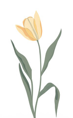 A simple, minimalistic illustration of yellow tulips with green foliage on a white background. Greeting card with spring mood