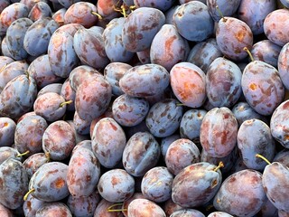 Plums blue ripe fruits sour sweet taste