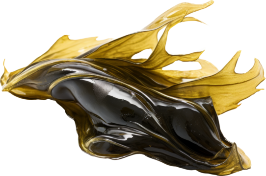 seaweed isolated on white or transparent background,transparency