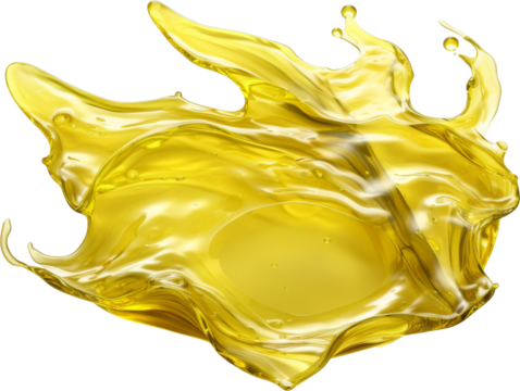 seaweed isolated on white or transparent background,transparency