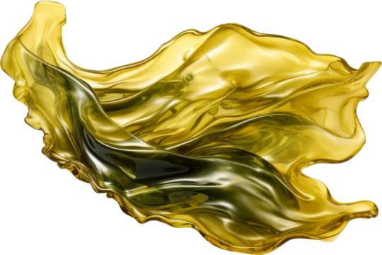 seaweed isolated on white or transparent background,transparency