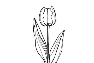 Minimalist black and white continuous line drawing of tulip, lines, coloring page