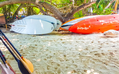 Canoe tour boat in tropical island nature Rasdhoo island Maldives.