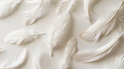 Ethereal boho feathers floating delicately against a pristine white surface