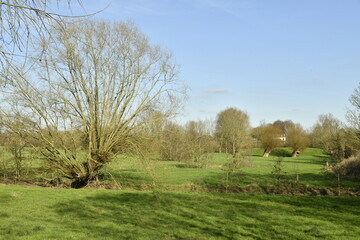 Fototapeta premium Paysage rural au début du printemps sous un ciel bleu à Ghislenghien 