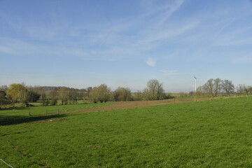 Paysage rural au début du printemps sous un ciel bleu à Ghislenghien 